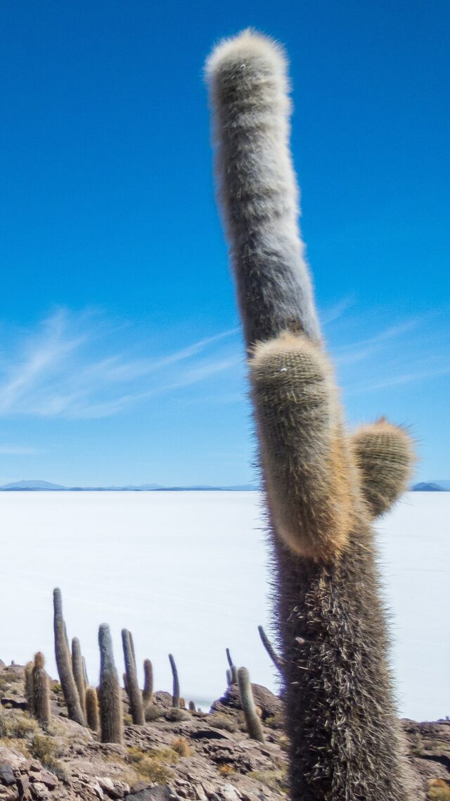 Incahuasi