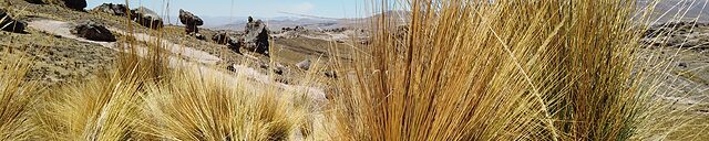Paysage Panoramique Andin